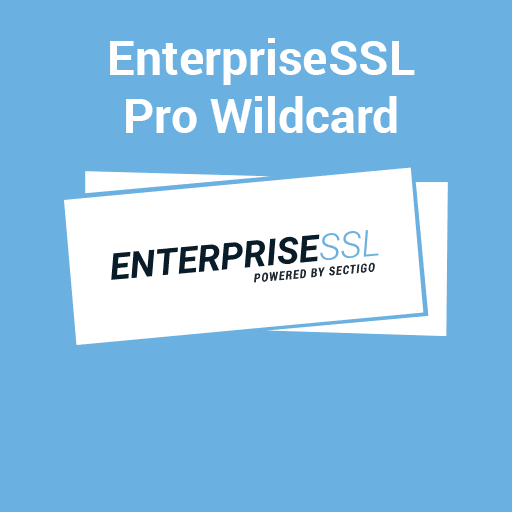 Enterprise SSL Pro Wildcard